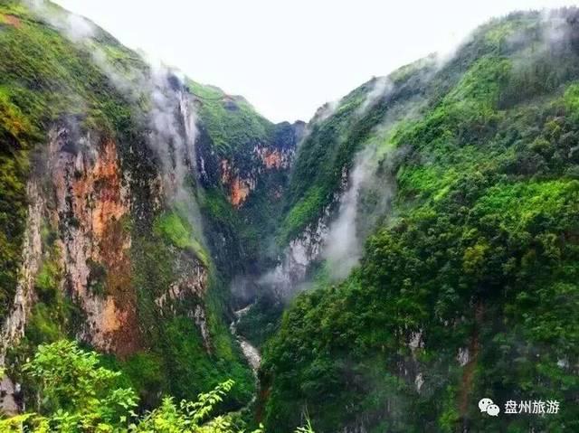人为什么会得抑郁症?-最全面的问答类网站